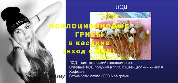 spice Балабаново